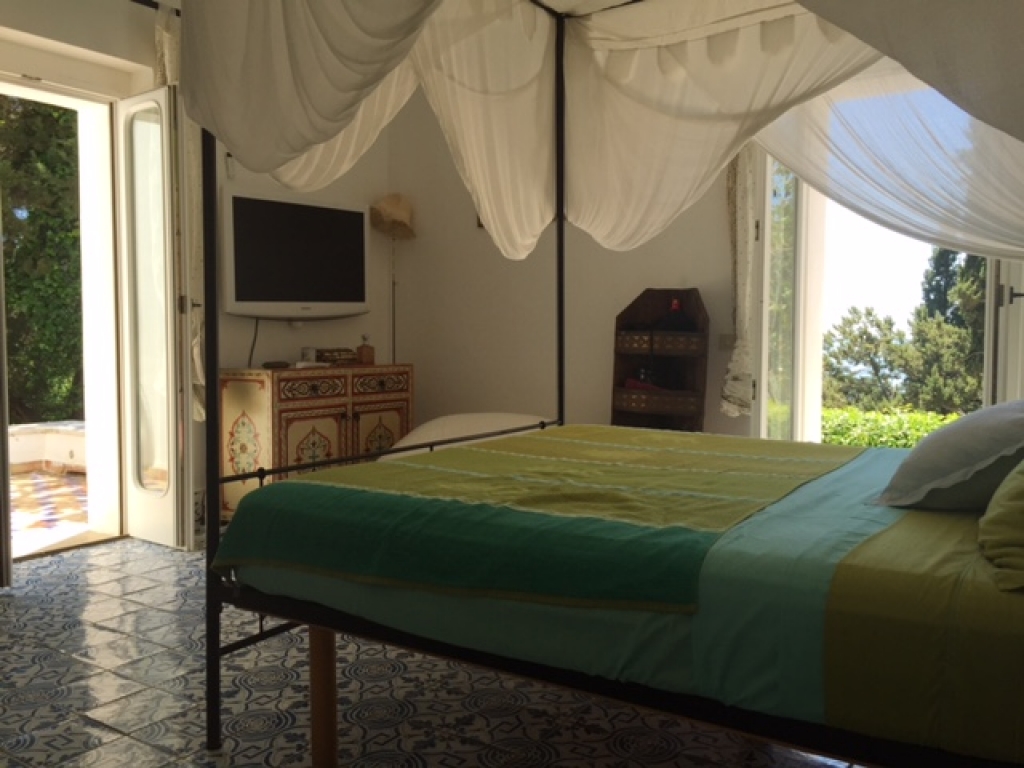 Dependance in the garden