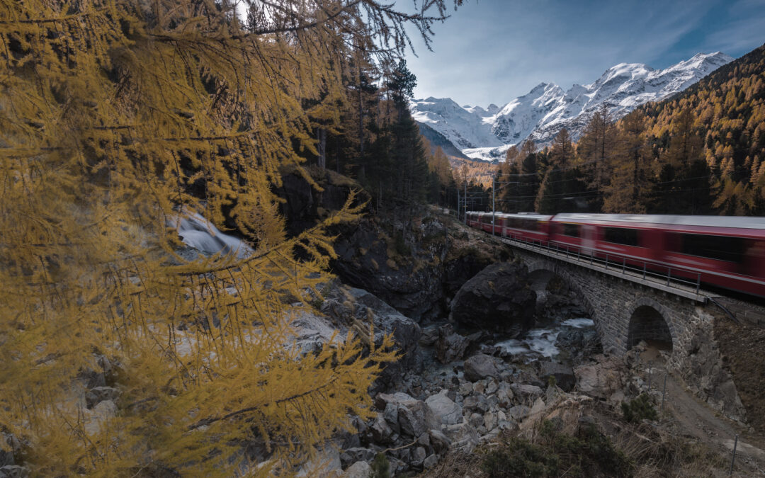 Welcome to the 2022 Autumn Edition of our company website!