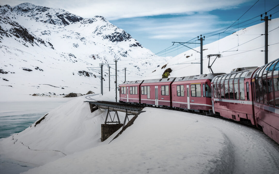 Holiday Season Edition